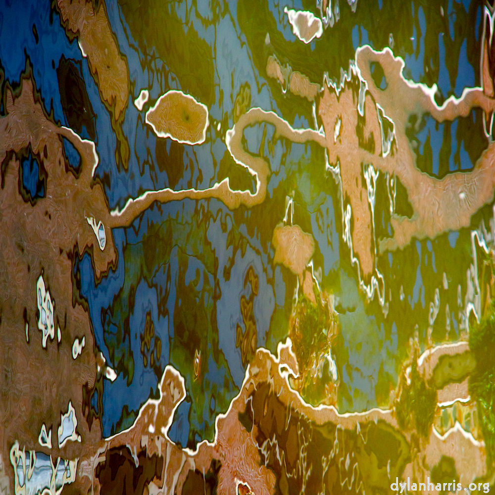 Image: Image 'amsterdam (iv) 1'.