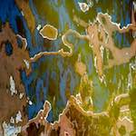 Image: First image from the photoset 'amsterdam (iv)'.