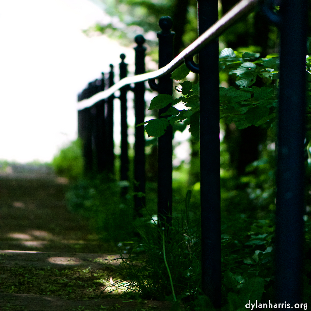 image: This is ‘
escher blummen (xcii) 5
’.