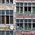 Ninth image from the photoset 'antwerp (iv)'.