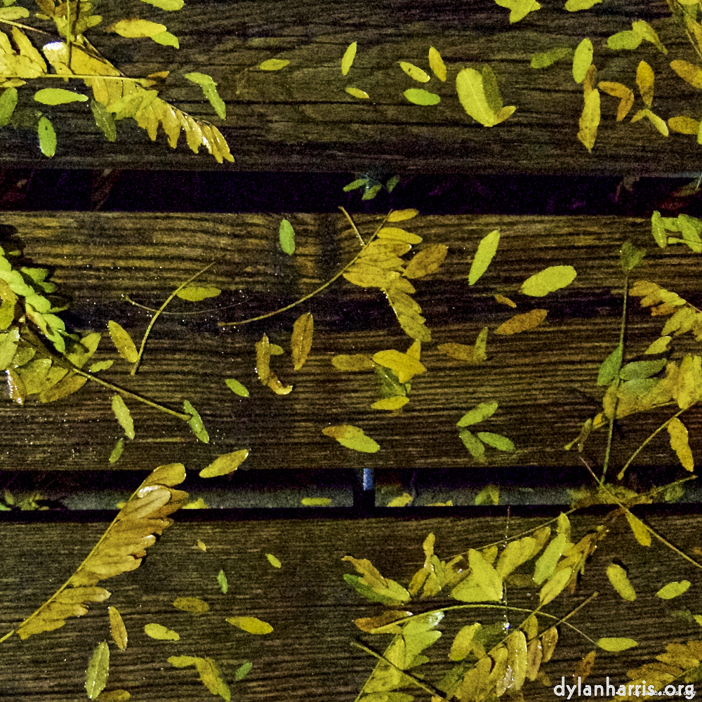 Image 'esch–sur–alzette (vii) 2', at Escher Déierepark, head and torso of a doe.