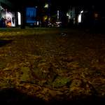 Fourth image of Escher Déierepark, from the photoset 'esch–sur–alzette (vii)'.