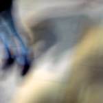 image: Image from the photoset ‘
paddington
’.