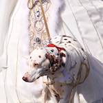 Image: Sixth image from the photoset 'longwy (iv)'.