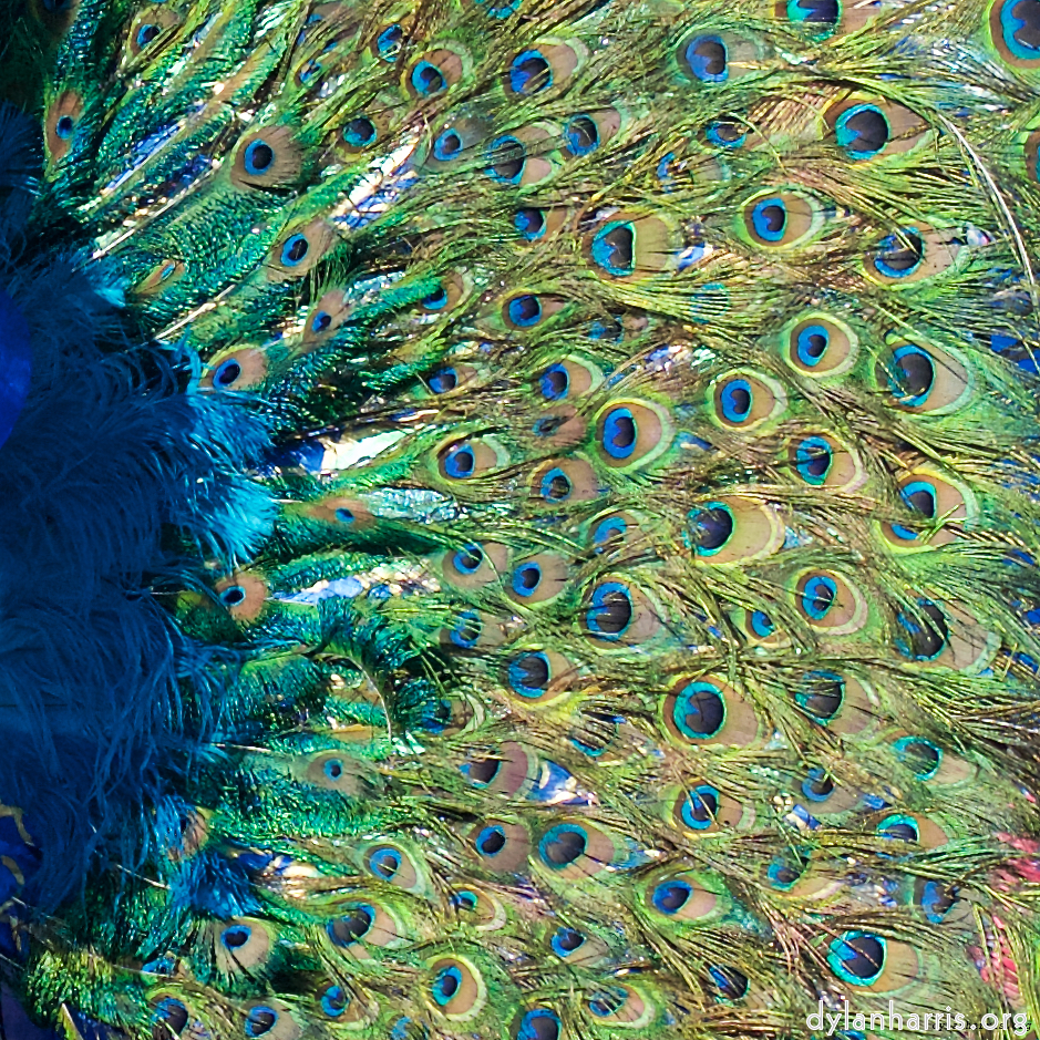 Image: Image 'longwy (x) 5'.