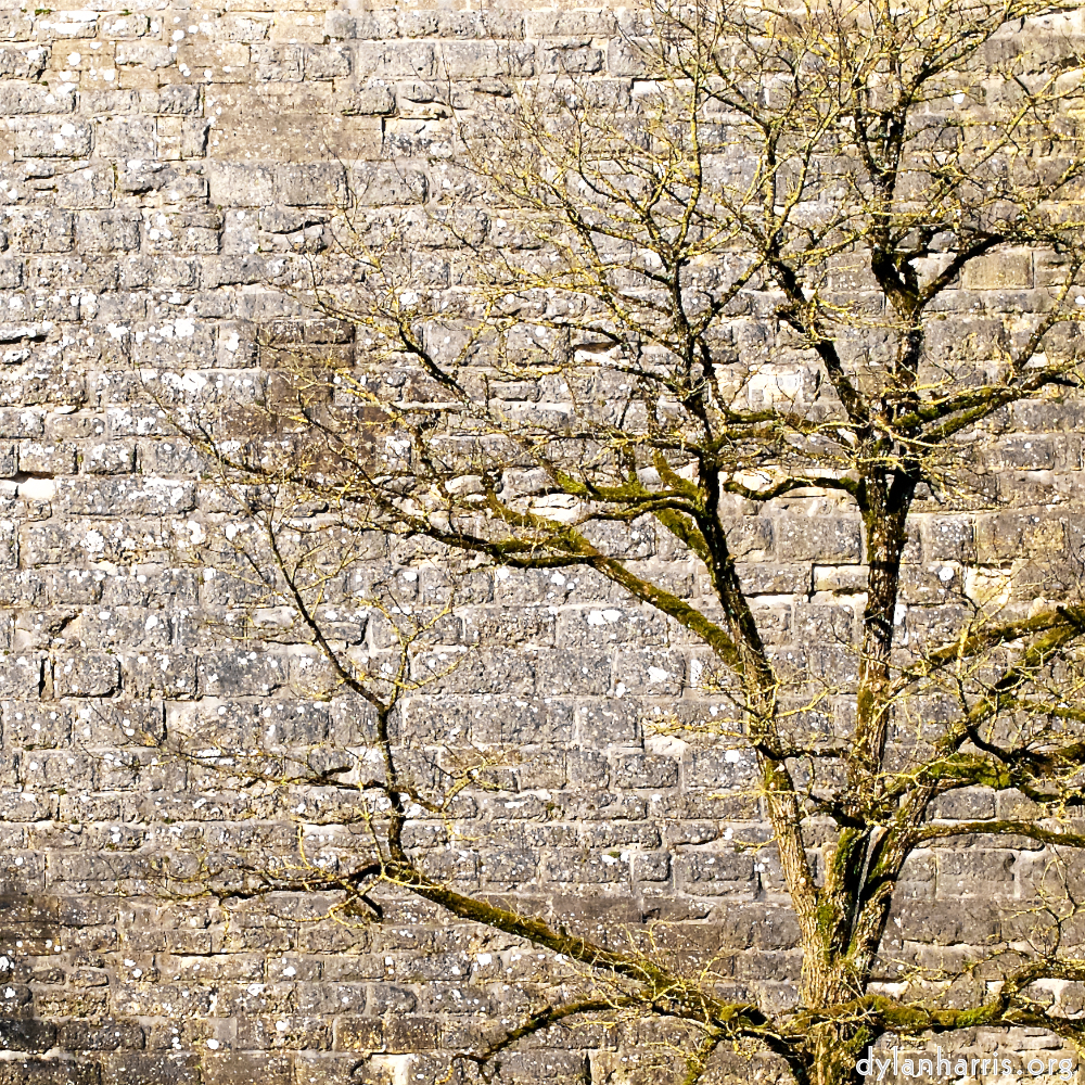 Image: Image 'longwy (xv) 2'.