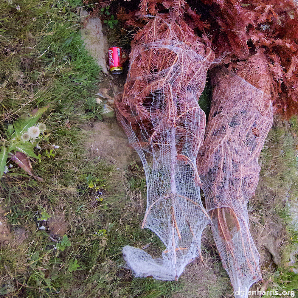 Image: Image 'rushden park 9'.