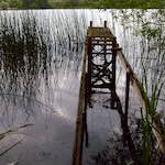 Image: Second image from the photoset 'rushden park'.