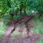 Image: Third image from the photoset 'rushden park'.