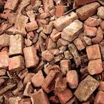 Image: Fourth image from the photoset 'rushden park'.