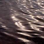 Image: Eighth image from the photoset 'rushden park'.