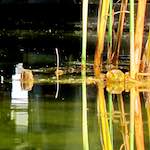 Image: Second image from the photoset 'haut fourneau (iv)'.