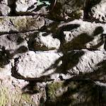 Image: First image from the photoset 'way to work (viii)'.