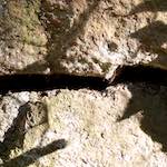 Image: Second image from the photoset 'way to work (viii)'.