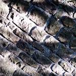 Image: Third image from the photoset 'way to work (viii)'.