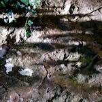 Image: Sixth image from the photoset 'way to work (viii)'.