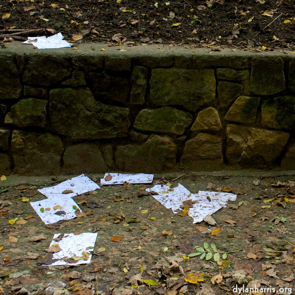 Image: Image 'graveyard (i) 2'.