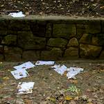 Image: Second image from the photoset 'graveyard (i)'.