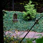 Image: Fourth image from the photoset 'graveyard (i)'.