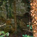 Image: Second image from the photoset 'graveyard (ii)'.