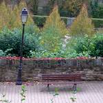 Image: Third image from the photoset 'graveyard (ii)'.