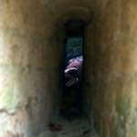 image: Image from the photoset ‘
parc (xi)
’.