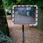 image: Image from the photoset ‘
parc (xi)
’.