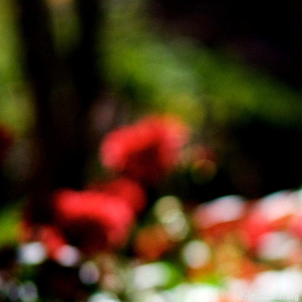 Image: Image 'parc (xxxiii) 4'.