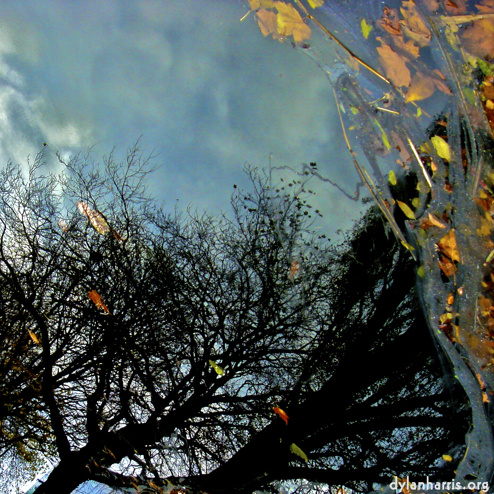 Image: Image 'water (iv) 3'.