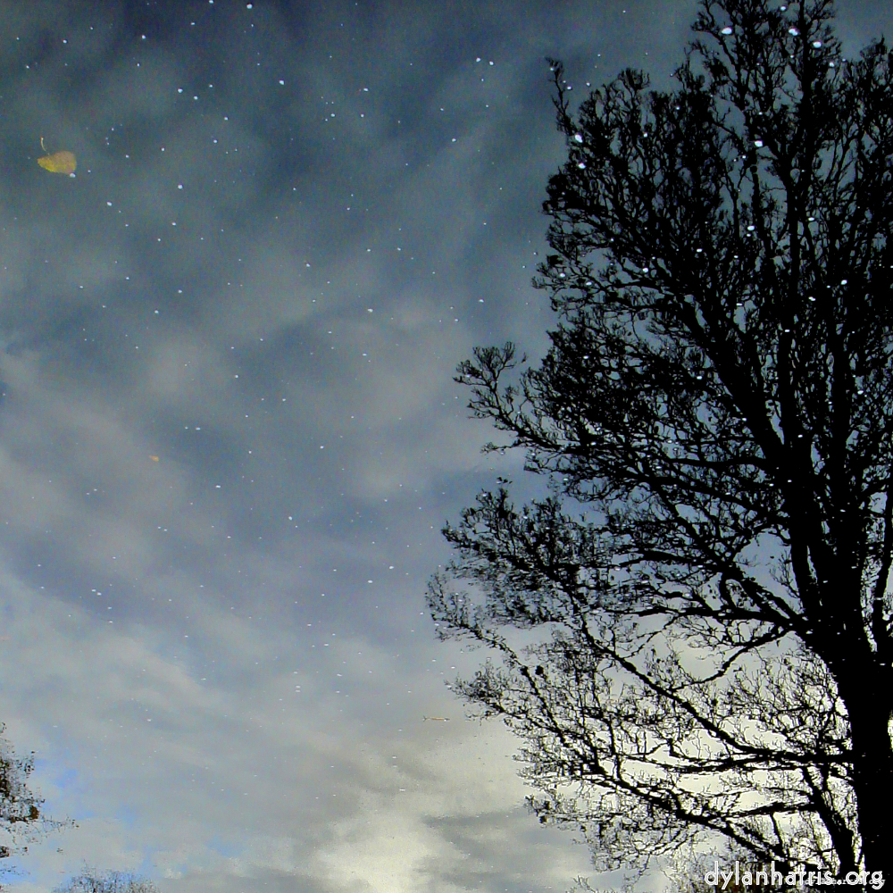 Image: Image 'water (iv) 6'.