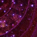 Image: First image from the photoset 'water (iv)'.