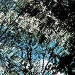 Image: Second image from the photoset 'water (iv)'.