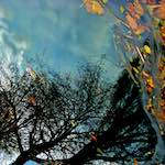 Image: Third image from the photoset 'water (iv)'.