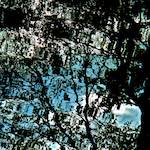 Image: Fifth image from the photoset 'water (iv)'.