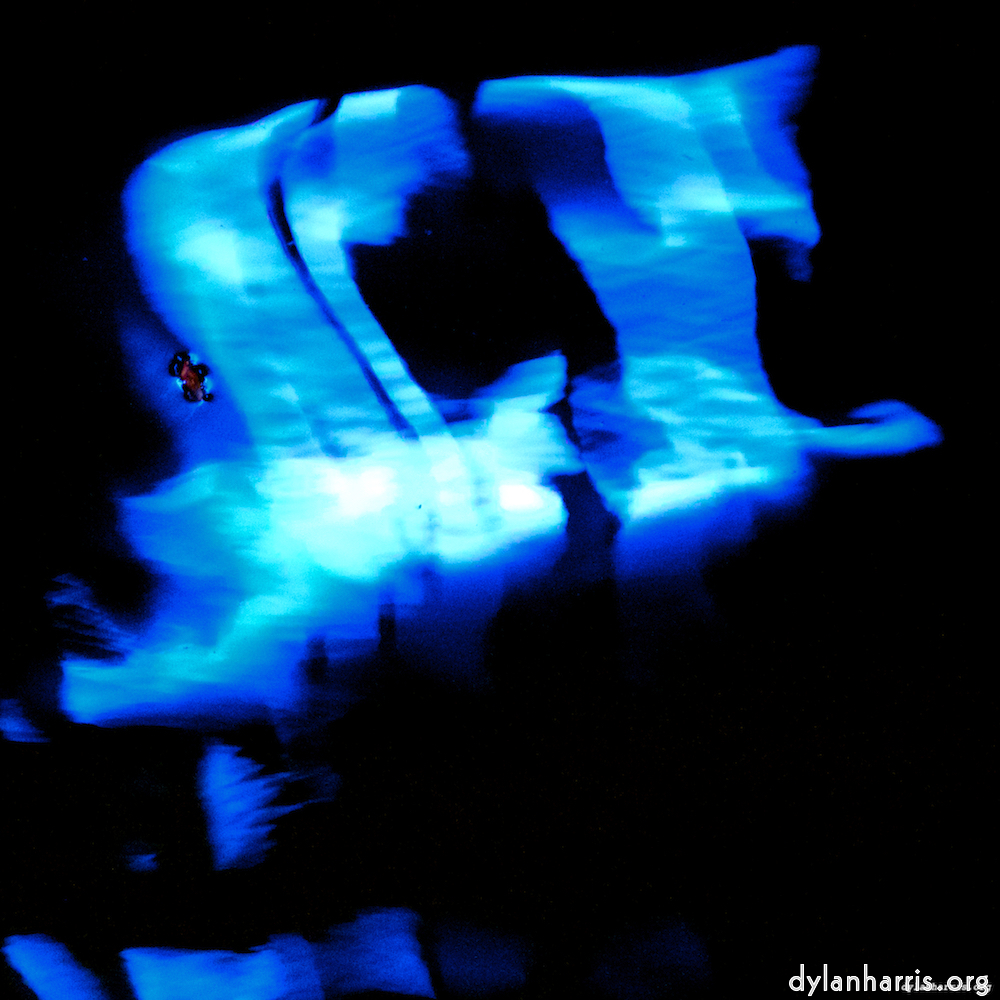 image: This is ‘
ghent (ii) 6
’.