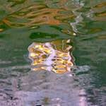 image: Image from the photoset ‘
ghent (ix)
’.