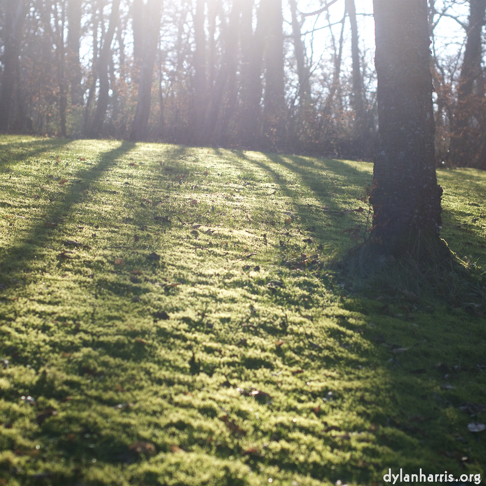 Image: Image 'L (x) 1'.