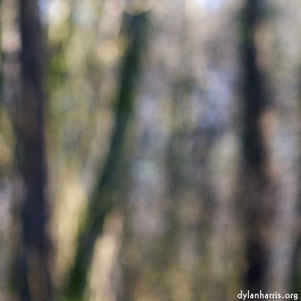 Image: Image 'L (x) 3'.