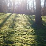 Image: First image from the photoset 'L (x)'.