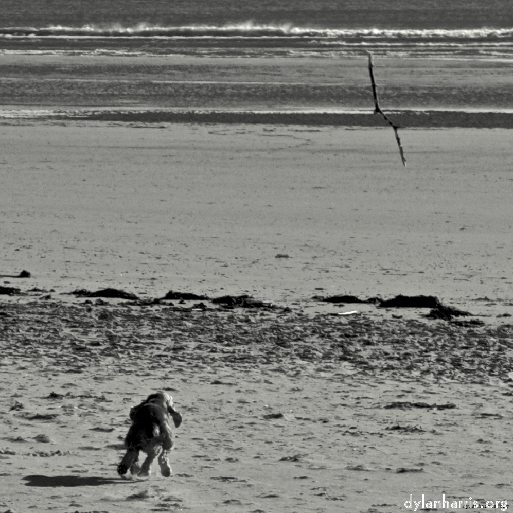 Image: Image 'alnmouth (i) (RIP) 1'.