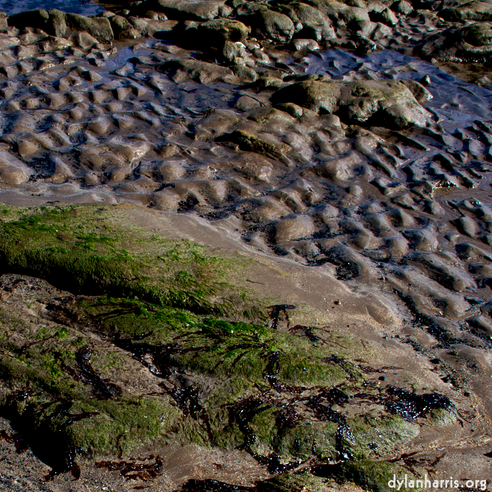 Image 'alnmouth (i) (RIP) 10'.