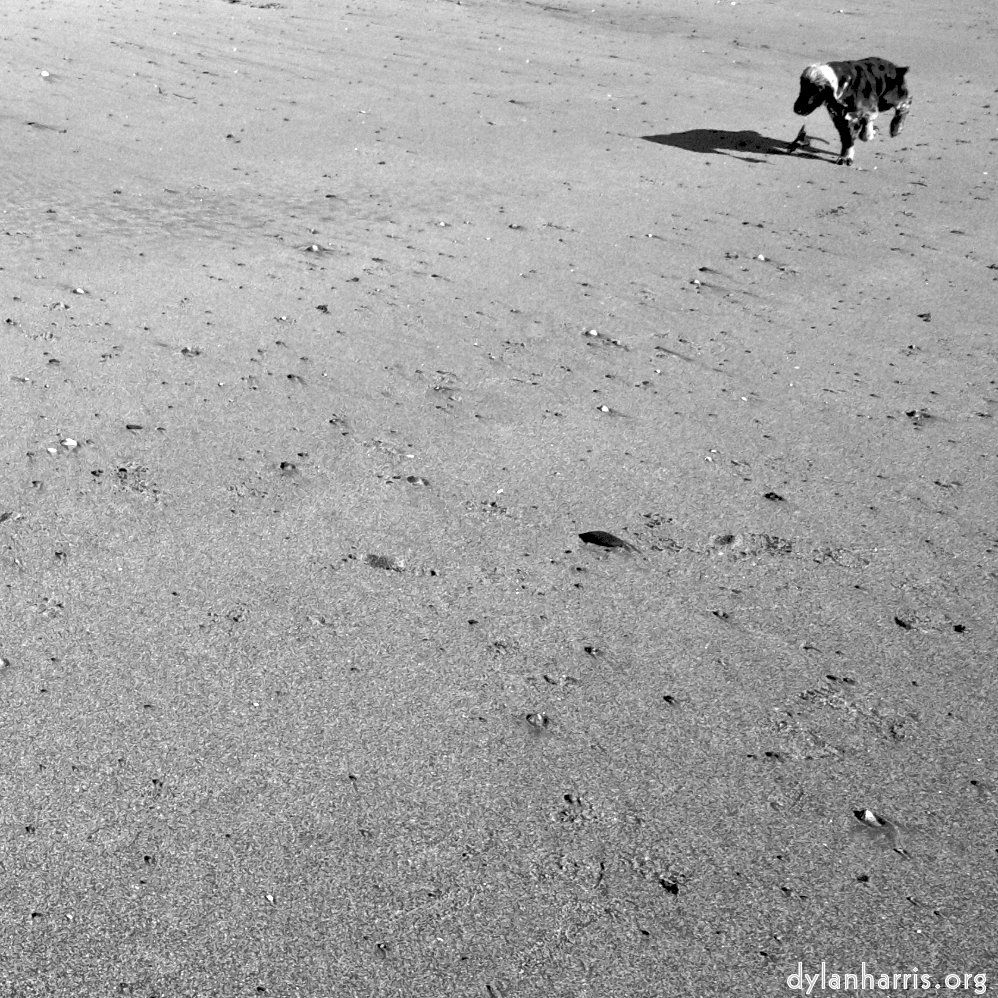 Image 'alnmouth (i) (RIP) 11'.