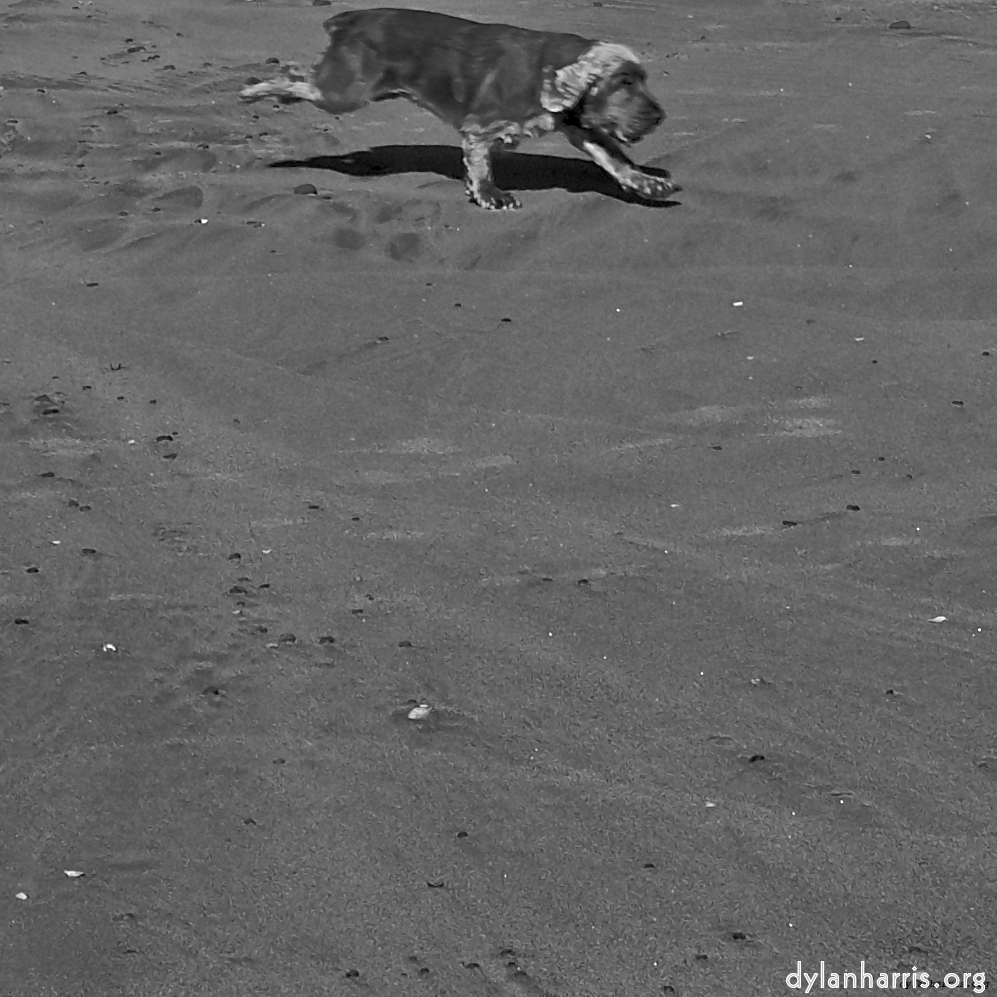 Image: Image 'alnmouth (i) (RIP) 6'.