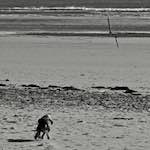 First image from the photoset 'alnmouth (i) (RIP)'.