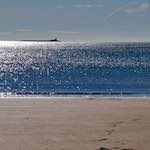 Twelfth image from the photoset 'alnmouth (i) (RIP)'.