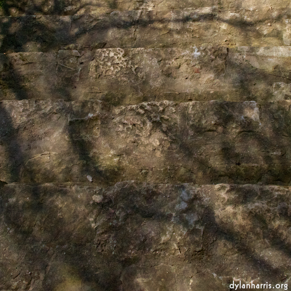 image: This is ‘
rham (iii) 5
’.