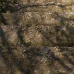 Image: Fifth image from the photoset 'rham (iii)'.