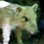 image: Image from the photoset ‘
esch–sur–alzette (xxix)
’.