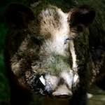 image: Image from the photoset ‘
esch–sur–alzette (xxix)
’.