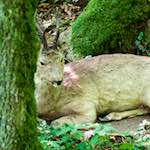 image: Image from the photoset ‘
esch–sur–alzette (xxix)
’.